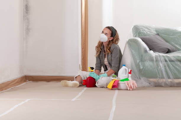 Reliable Mold Remediation contractor in Pikesville, MD by WQB Mold Removal